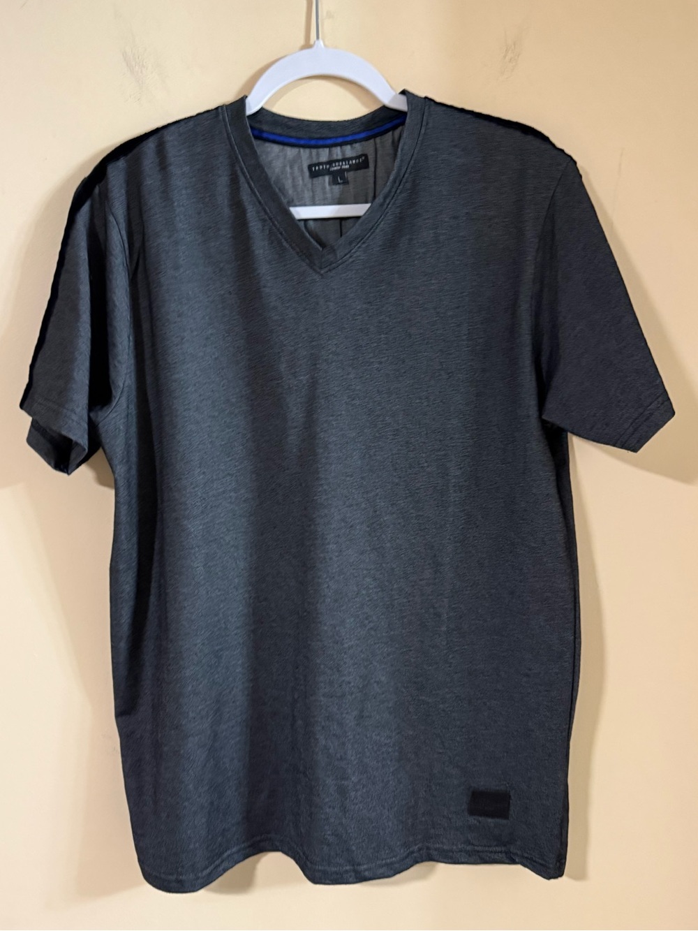TRUTH.SUBSTANCE Common SenseLarge Iron Grey V Neck Pima Cotton Mens Tee T Shirt